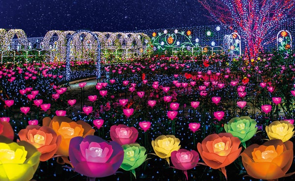 【京成船橋発】~ニューイヤーイルミネーション~「あしかがフラワーパーク」光の花の庭&いちご狩り<コースNo.25-1131-A>(京成トラベル)1